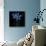Petite Bleu-Jocelyne Anderson-Tapp-Stretched Canvas displayed on a wall