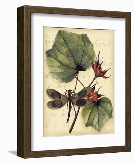 Petite Dragonflies I-Vision Studio-Framed Art Print