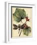 Petite Dragonflies I-Vision Studio-Framed Art Print