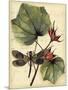 Petite Dragonflies I-Vision Studio-Mounted Art Print