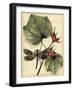 Petite Dragonflies I-Vision Studio-Framed Art Print