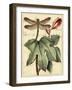 Petite Dragonflies II-Vision Studio-Framed Art Print