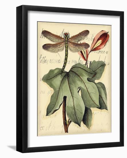 Petite Dragonflies II-Vision Studio-Framed Art Print