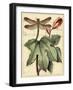 Petite Dragonflies II-Vision Studio-Framed Art Print