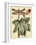 Petite Dragonflies II-Vision Studio-Framed Art Print