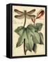 Petite Dragonflies II-Vision Studio-Framed Stretched Canvas