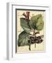 Petite Dragonflies VI-Vision Studio-Framed Art Print