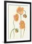 Petite Fleur III-Alicia Ludwig-Framed Art Print