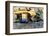 Petite Fleur, Paris, France-Nicolas Hugo-Framed Giclee Print