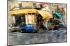 Petite Fleur, Paris, France-Nicolas Hugo-Mounted Giclee Print