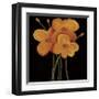 Petite Jaune-Jocelyne Anderson-Tapp-Framed Giclee Print