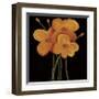 Petite Jaune-Jocelyne Anderson-Tapp-Framed Giclee Print