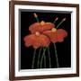 Petite Orange-Jocelyne Anderson-Tapp-Framed Giclee Print