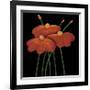 Petite Orange-Jocelyne Anderson-Tapp-Framed Giclee Print