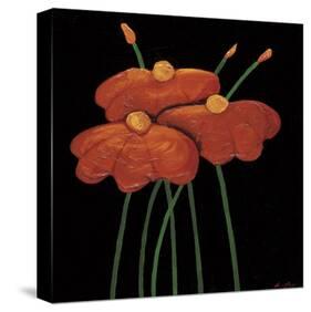 Petite Orange-Jocelyne Anderson-Tapp-Stretched Canvas