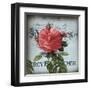 Petite Rose I-Sabine Berg-Framed Art Print