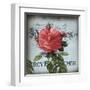 Petite Rose I-Sabine Berg-Framed Art Print