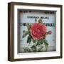 Petite Rose II-Sabine Berg-Framed Art Print