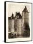 Petite Sepia Chateaux VII-Victor Petit-Framed Stretched Canvas