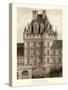 Petite Sepia Chateaux VIII-Victor Petit-Stretched Canvas