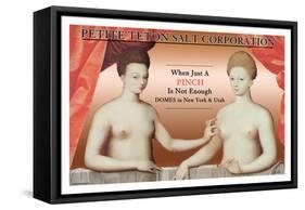 Petite Teton Salt Corporation-null-Framed Stretched Canvas