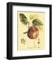 Petite Tuscan Fruits I-null-Framed Art Print
