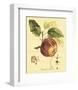 Petite Tuscan Fruits I-null-Framed Art Print
