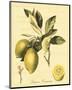 Petite Tuscan Fruits II-null-Mounted Art Print