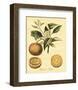 Petite Tuscan Fruits III-null-Framed Art Print