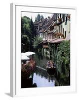 Petite Venise, Colmar, Haut-Rhin, Alsace, France-David Hughes-Framed Photographic Print