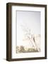 Petite Wild Grass-null-Framed Photographic Print