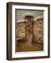 Petits Appartements : Bibliothèque particulière de l'Empereur. Décor de boiseries et dessus de-null-Framed Giclee Print