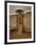 Petits Appartements : Bibliothèque particulière de l'Empereur. Décor de boiseries et dessus de-null-Framed Giclee Print