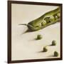 Petits Pois, c.2006-Nathalie Clement-Framed Premium Giclee Print