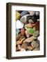 Petoskey Stones I-Michelle Calkins-Framed Photo