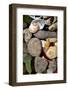 Petoskey Stones II-Michelle Calkins-Framed Photo