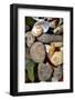 Petoskey Stones II-Michelle Calkins-Framed Photo