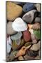 Petoskey Stones IV-Michelle Calkins-Mounted Photo