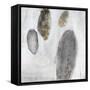 Petoskey Stones-Clayton Rabo-Framed Stretched Canvas