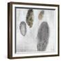 Petoskey Stones-Clayton Rabo-Framed Giclee Print