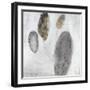 Petoskey Stones-Clayton Rabo-Framed Giclee Print