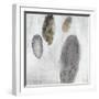 Petoskey Stones-Clayton Rabo-Framed Giclee Print