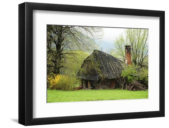 Photographic Print, , large