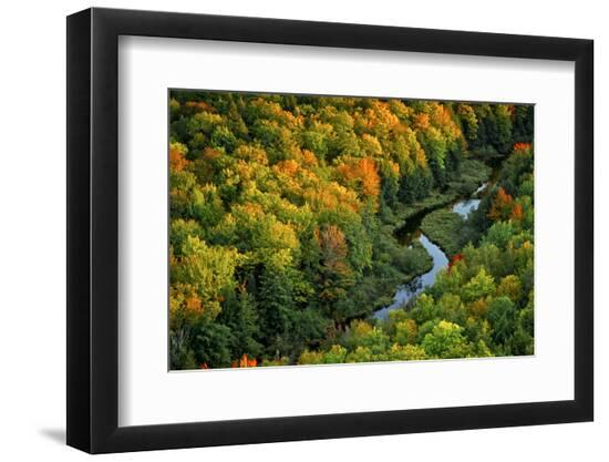 Premium Photographic Print, , large