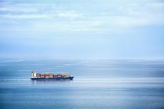Large Container Ship in the Open Sea-Petr Jilek-Stretched Canvas