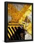 Essential Black