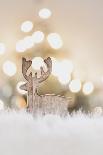 Christmas Decoration, Heart on Fleecy Ground-Petra Daisenberger-Photographic Print