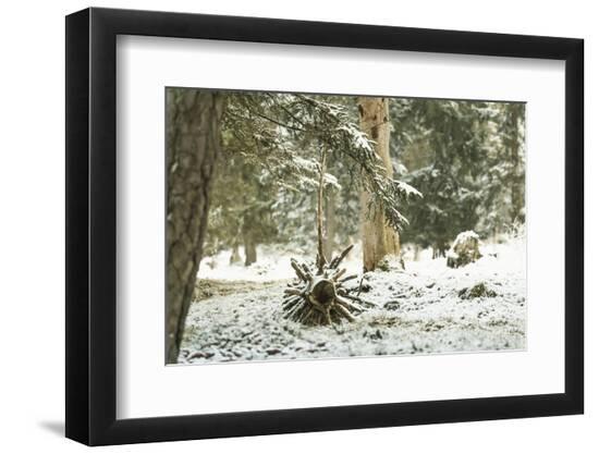 Premium Photographic Print, , large