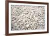 Petra II-Tony Koukos-Framed Giclee Print