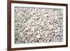 Petra II-Tony Koukos-Framed Giclee Print